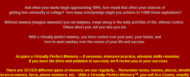 vpmemory1001001.png
